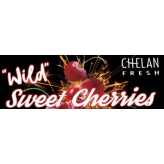 Wild Sweet Cherries